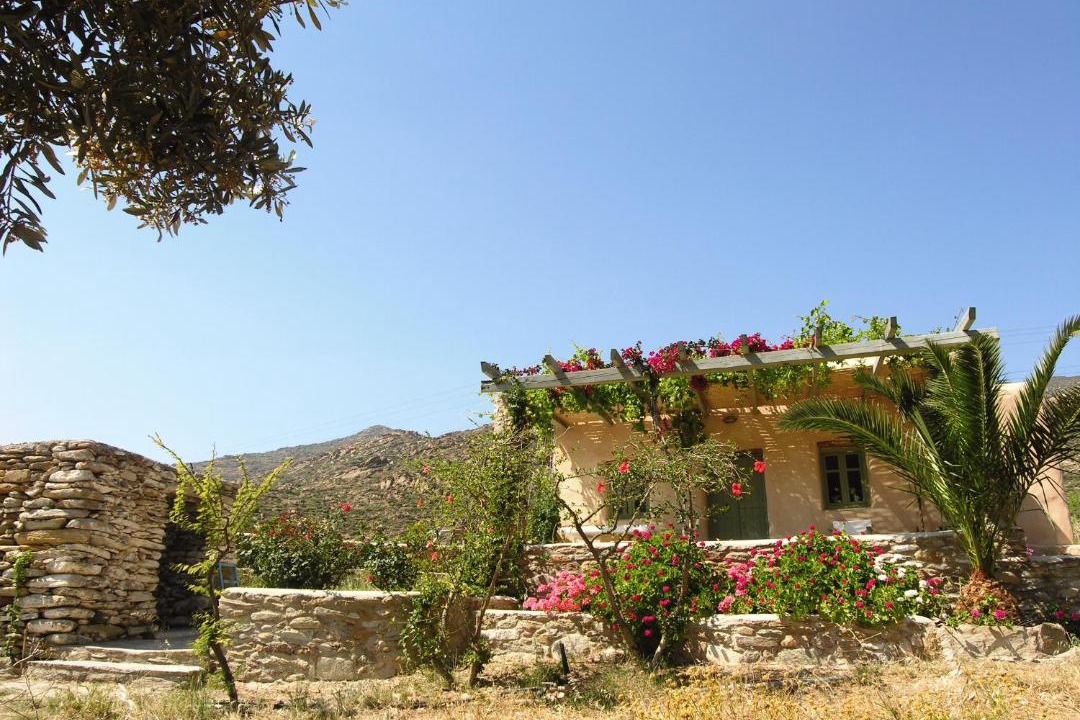 Photo of Others in Milopotas