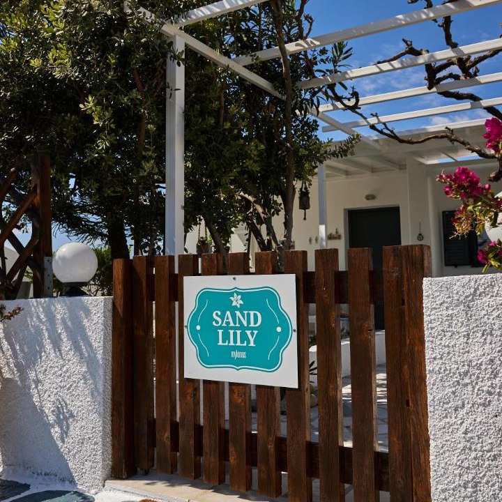 Photo of Others in Mykonos Town
