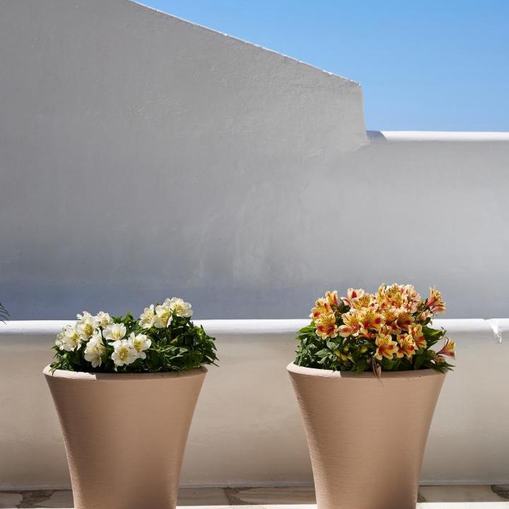 Photo of Others in Mykonos Town