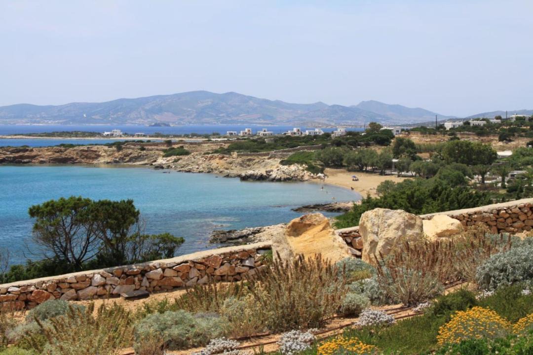 Photo of Others in Paros