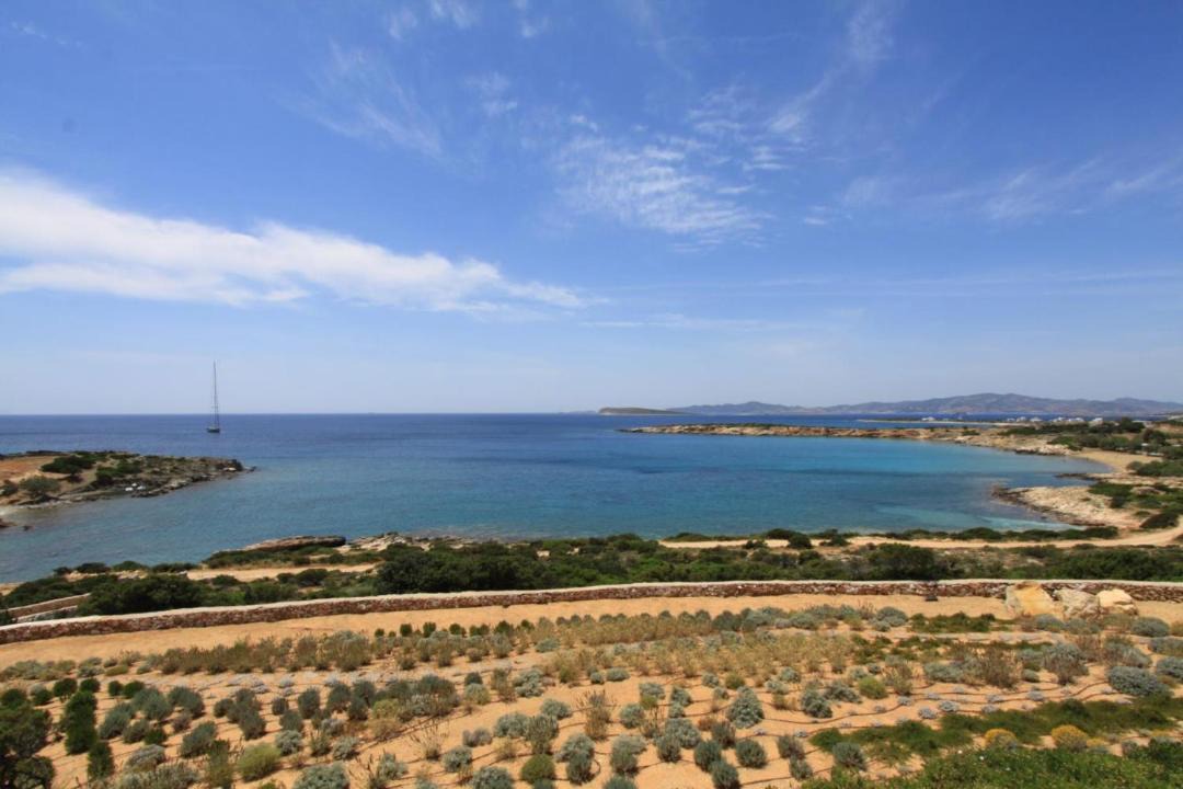 Photo of Others in Paros