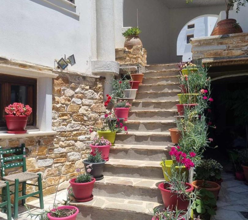 Photo of Others in Naxos