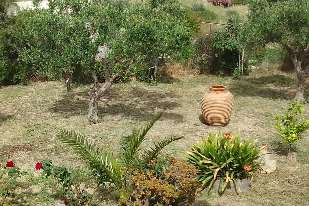 Photo of Others in Kounopetra