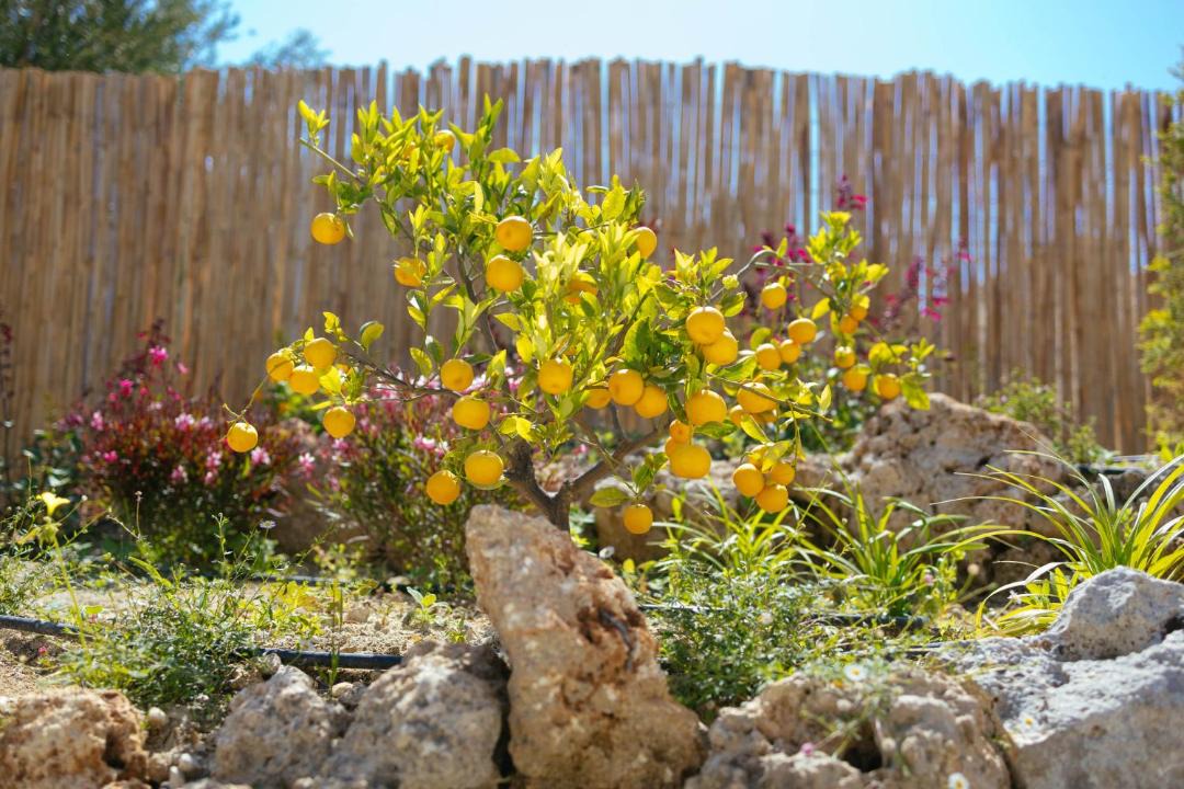 Photo of Others in Rethymno