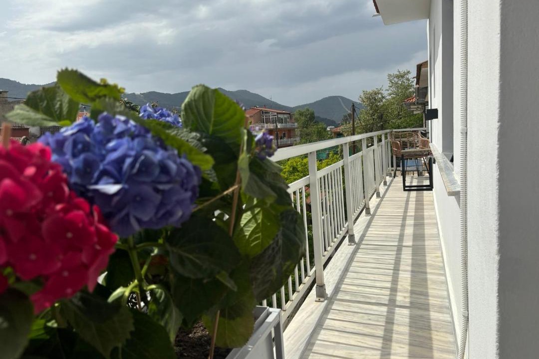Photo of Others in Thasos Town