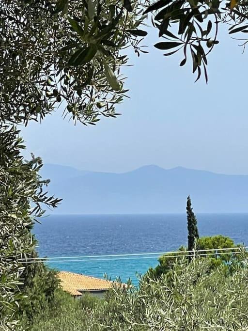 Photo of Others in Haniotis