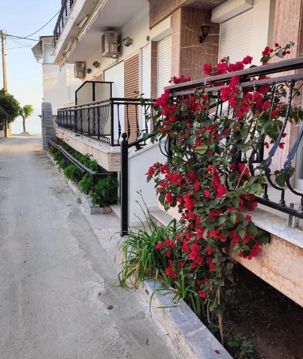 Photo of Others in Skala Prinou
