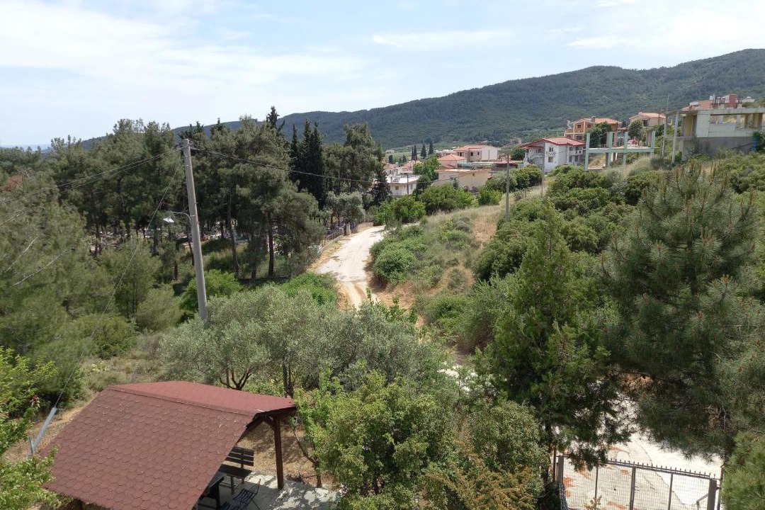 Photo of Others in Pangaio