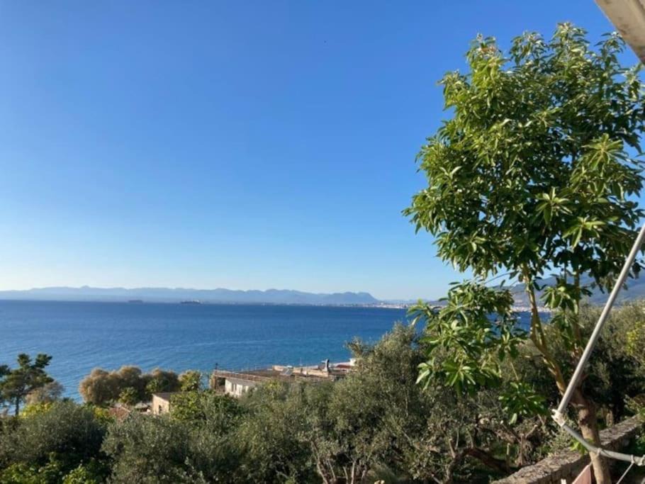 Photo of Others in Mikri Mantineia