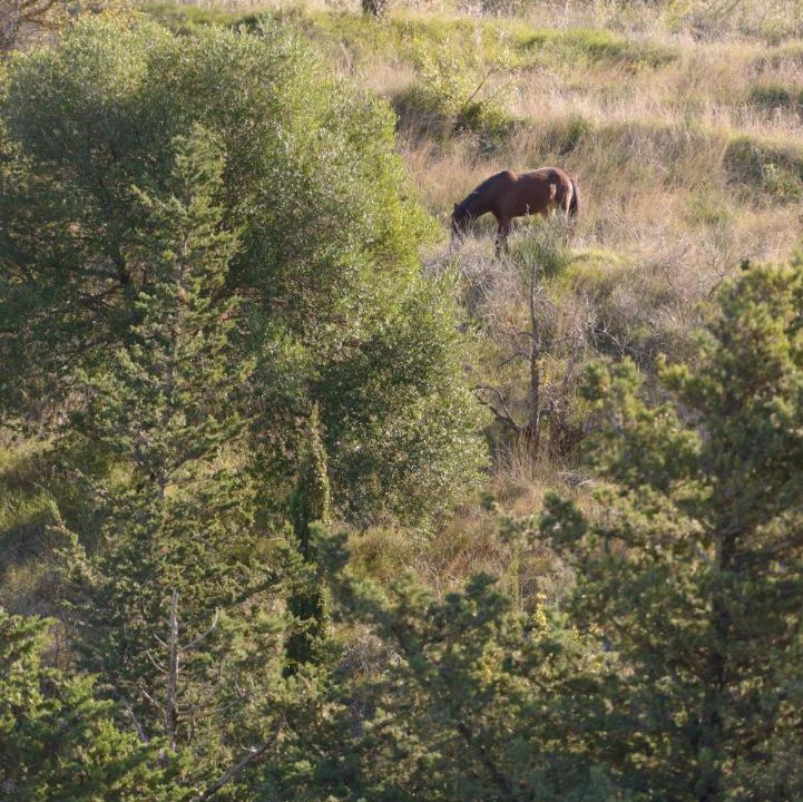 Photo of Others in Dhrakata