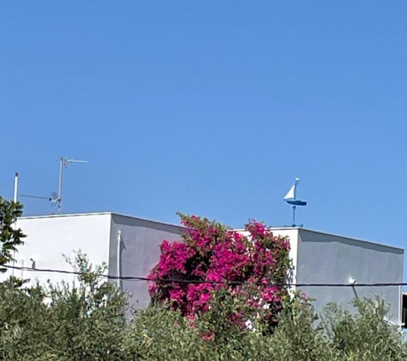 Photo of Others in Agrilos