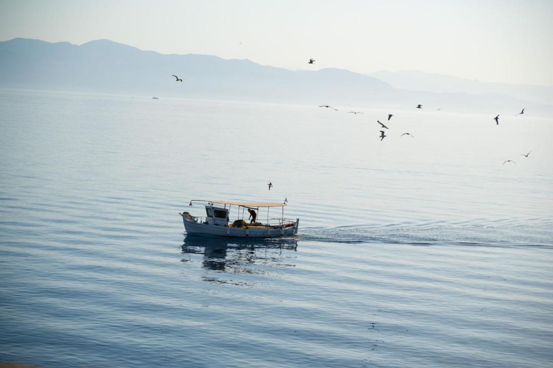 Photo of Outdoor in Gaios