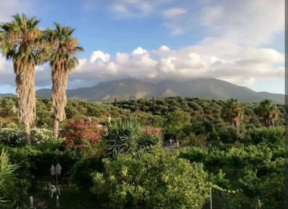 Photo of Outdoor in Kiparissia