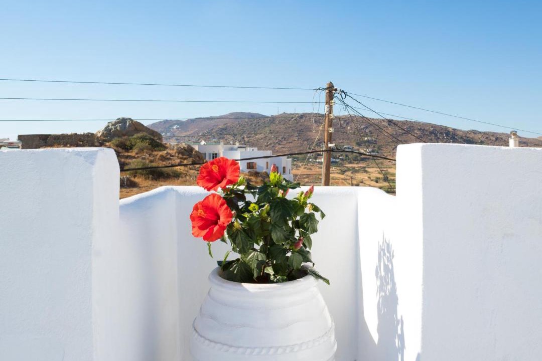 Photo of Others in Glinado