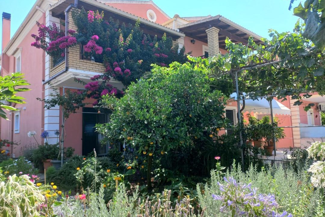 Photo of Buildings in Acharavi