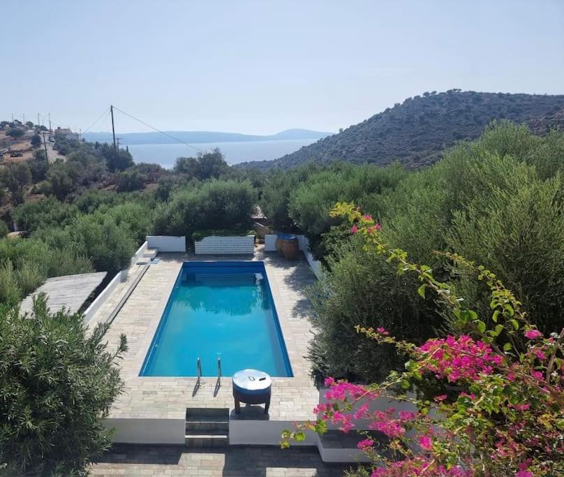 Photo of Others in Agia Galini