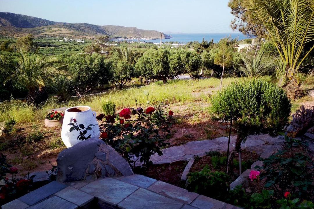 Photo of Others in Palekastro