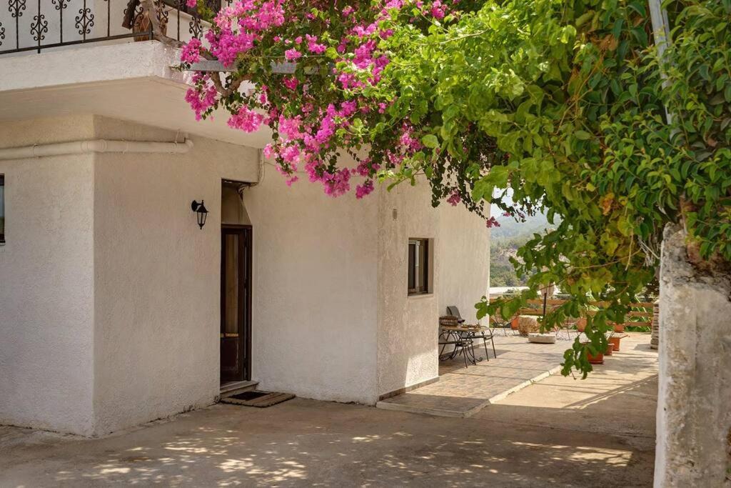 Photo of Others in Salakos
