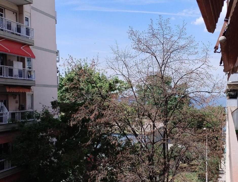 Photo of Others in Thessaloniki