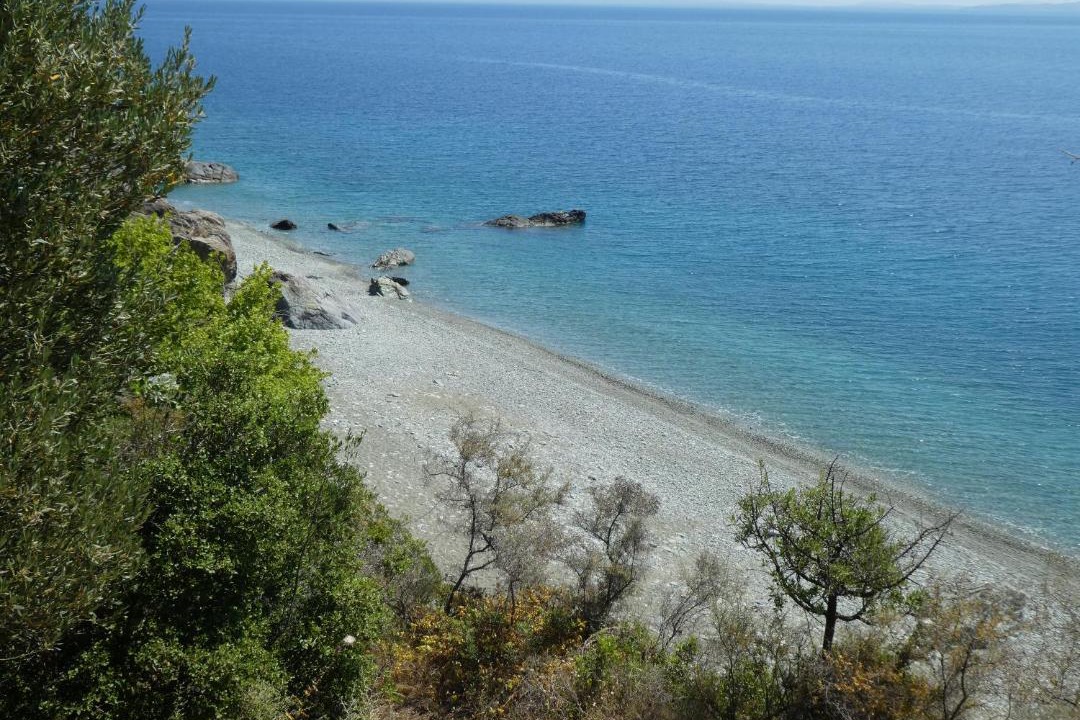 Photo of Others in Paralia