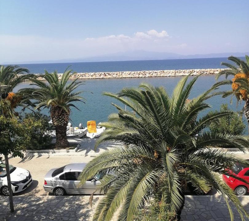 Photo of Others in Skala Sotiros