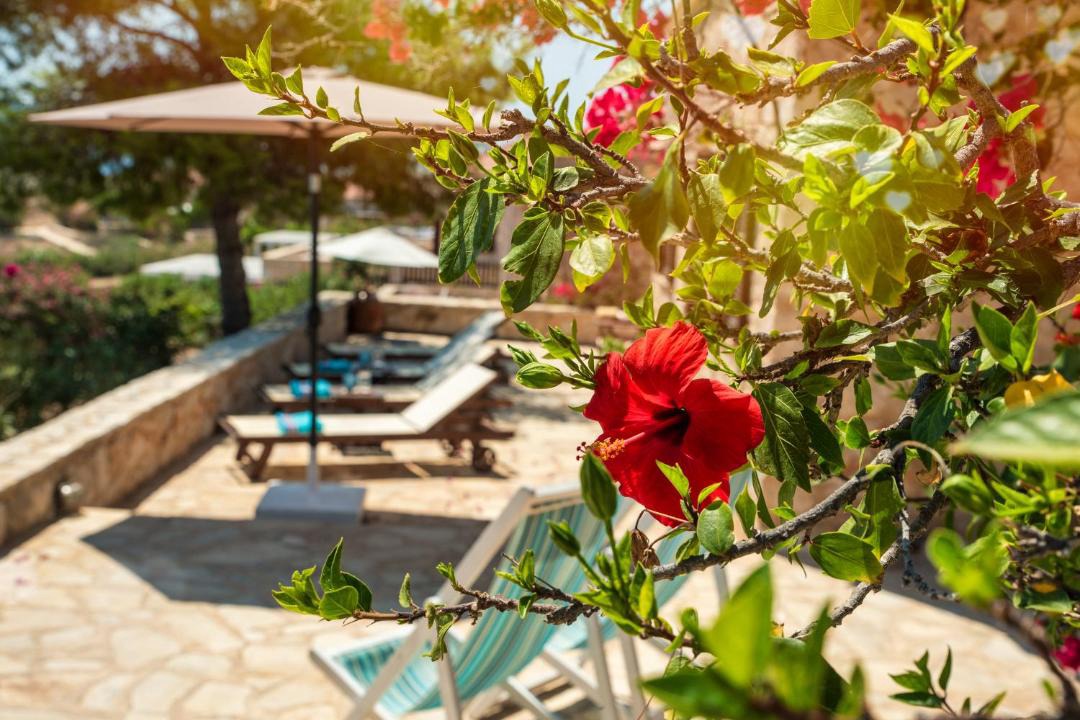 Photo of Others in Halki