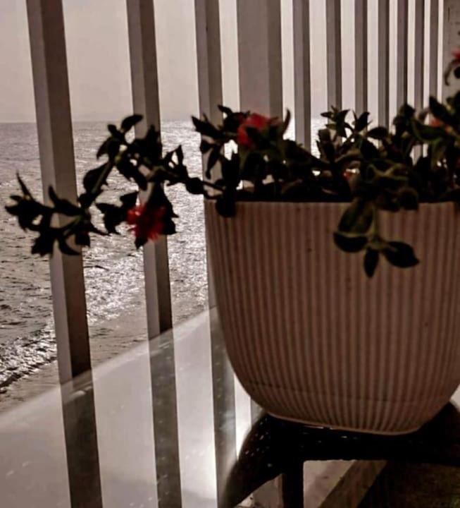 Photo of Patio Balcony in Xylokastro-Evrostina
