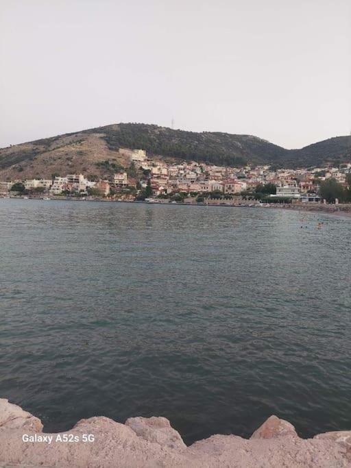 Photo of Others in Kiveri