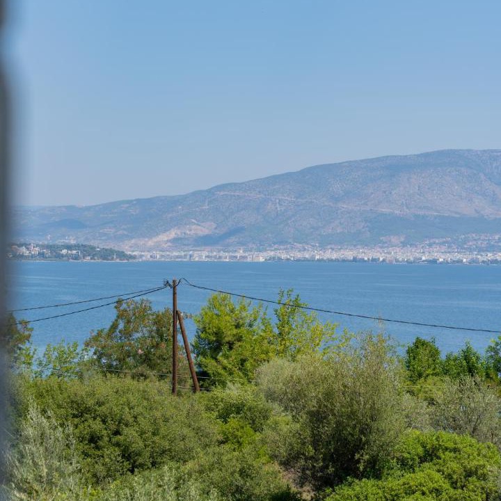 Photo of Others in Volos