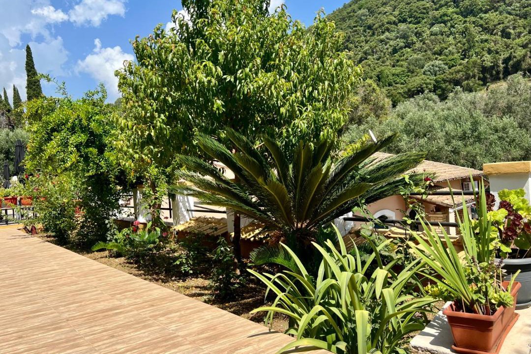 Photo of Others in Paleokastritsa