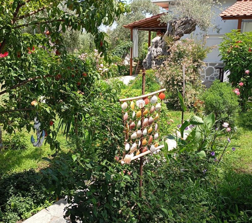 Photo of Others in Skala Rachoniou