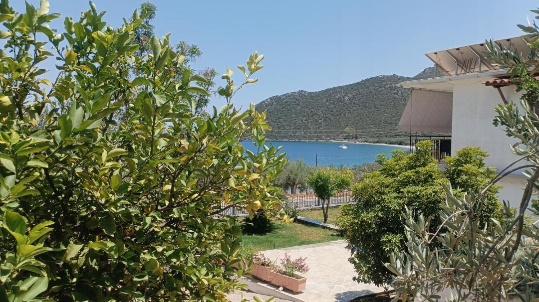 Photo of Others in Paralia