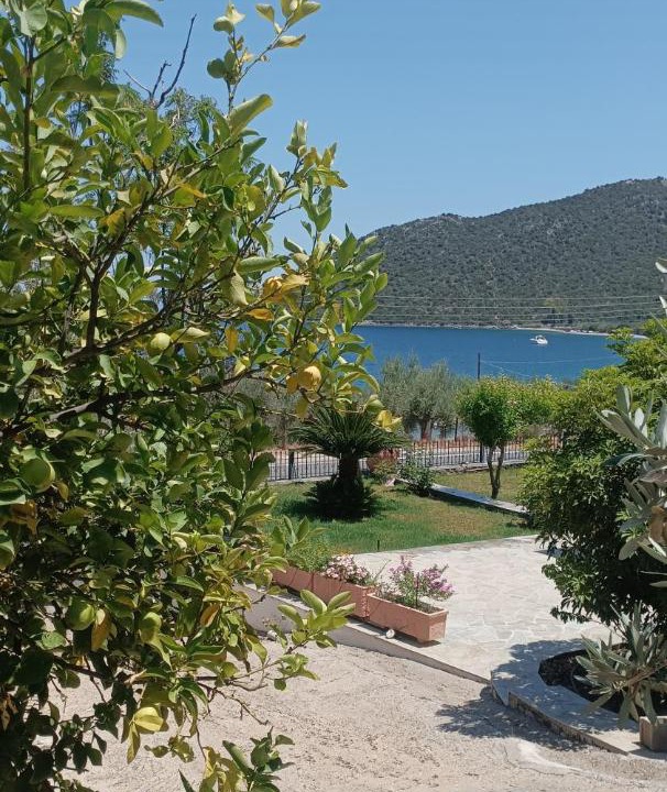 Photo of Others in Paralia