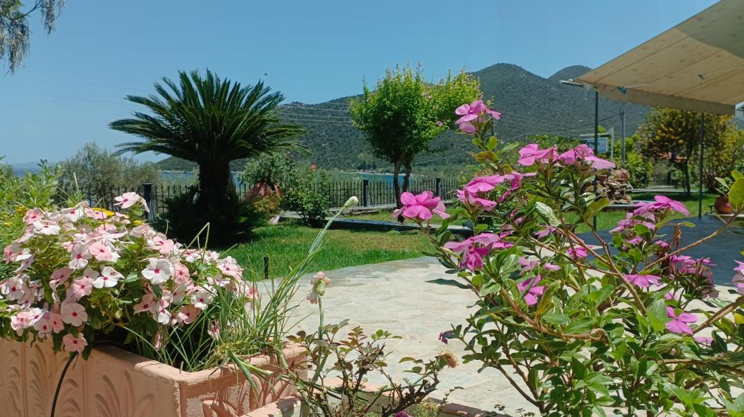 Photo of Others in Paralia