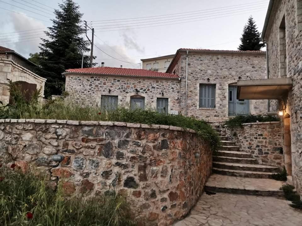 Photo of Others in Levidhion