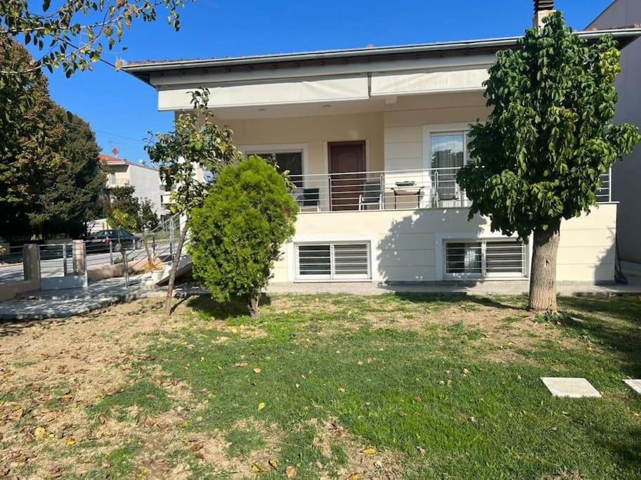 Photo of Buildings in Trikala