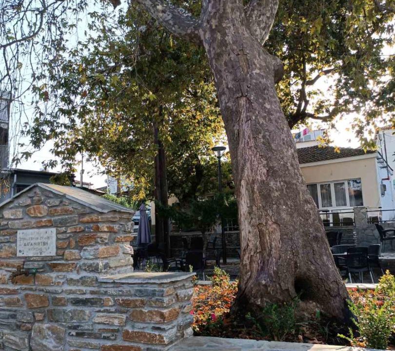 Photo of Buildings in Aigani