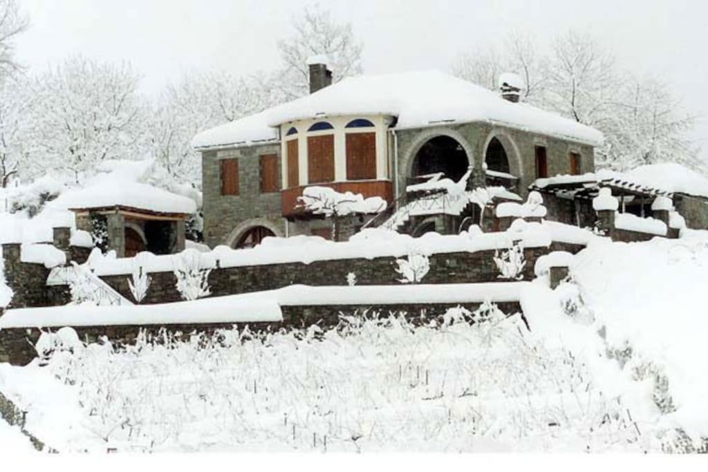 Photo of Others in Tsepelovo