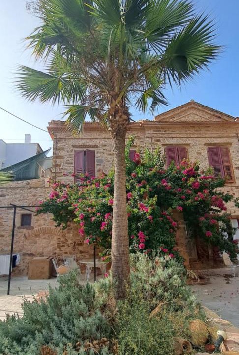 Photo of Others in Chios