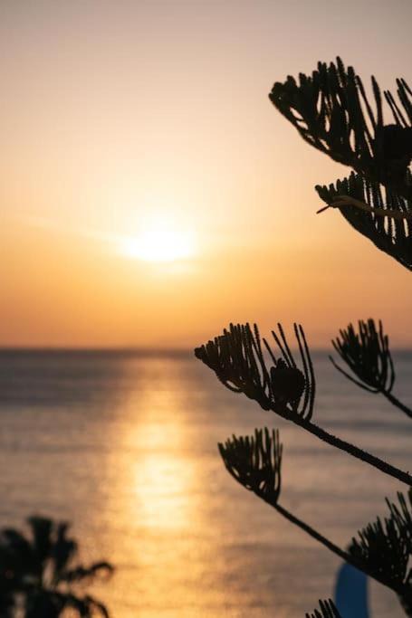Photo of Outdoor in Palaia Fokaia