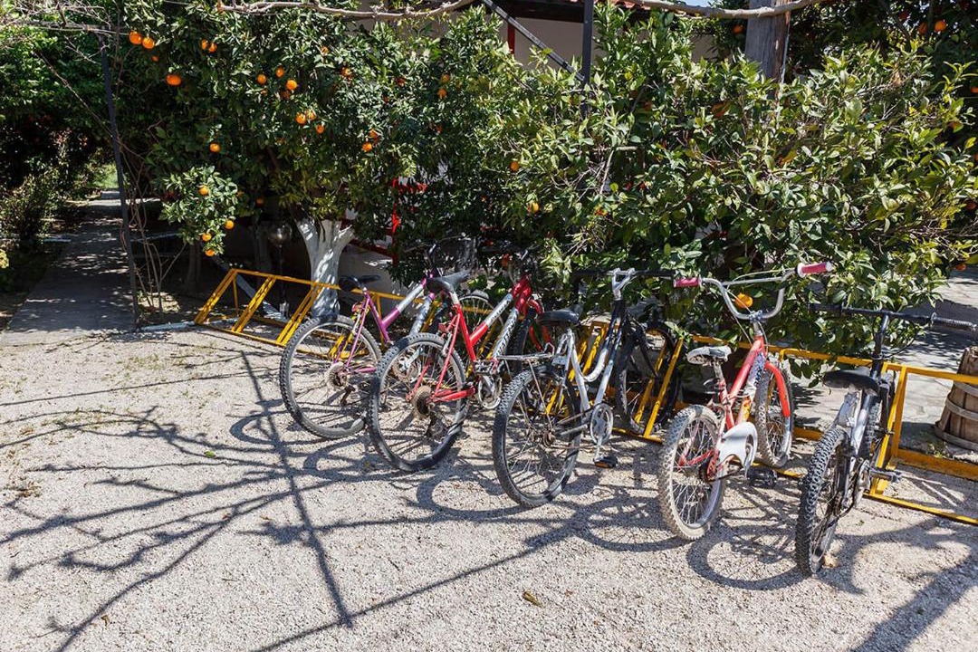 Photo of Others in Nafplio