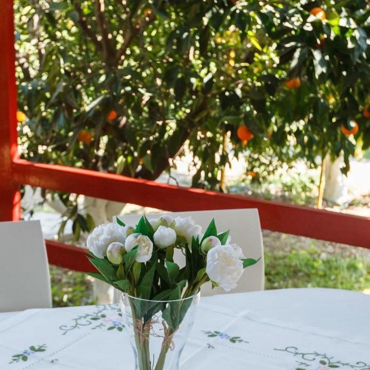 Photo of Others in Nafplio