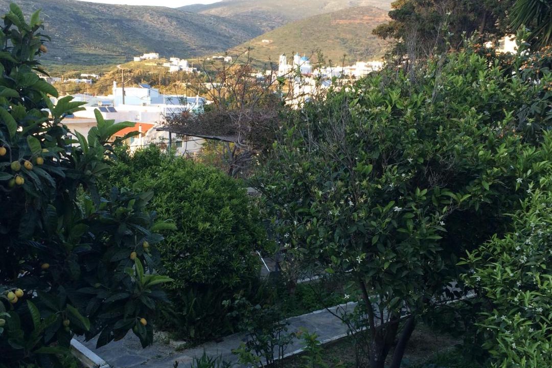 Photo of Outdoor in Katapola