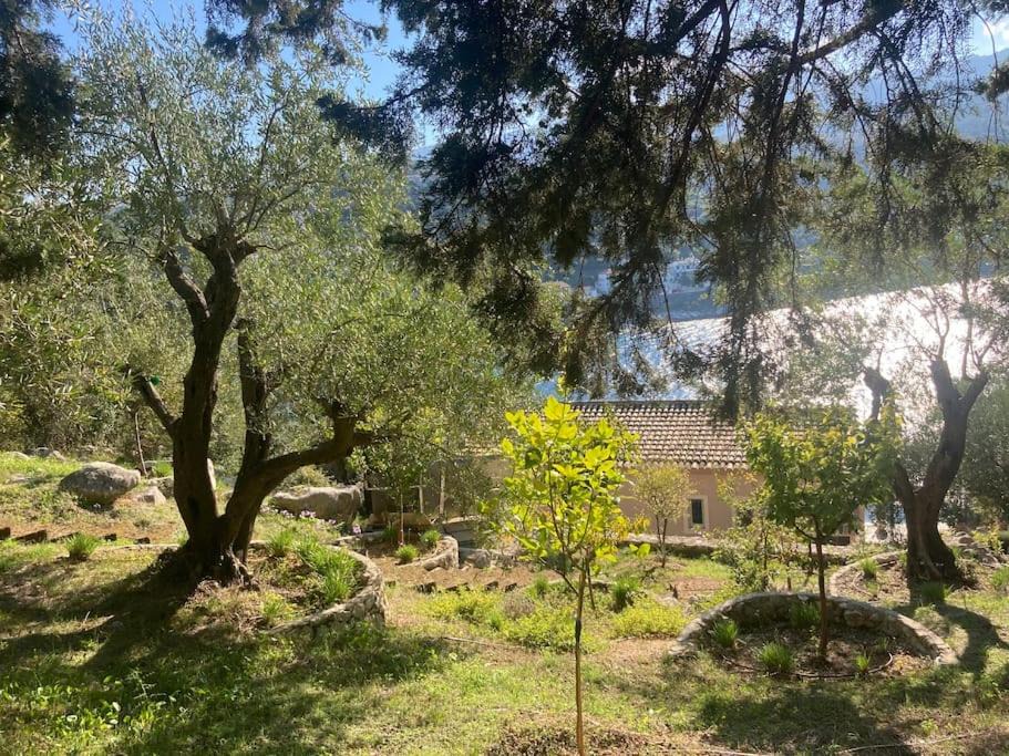 Photo of Others in Kassiopi