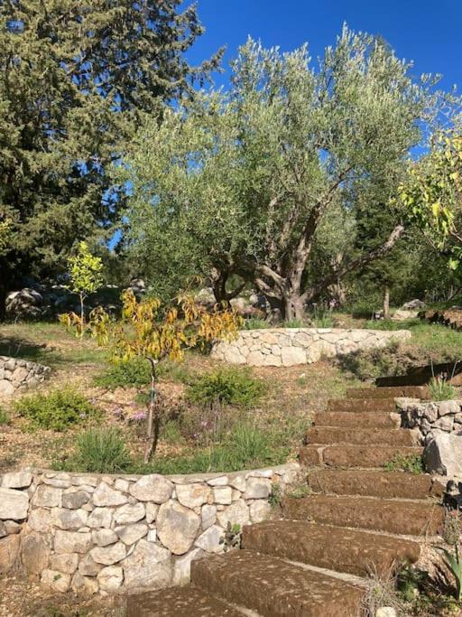 Photo of Others in Kassiopi