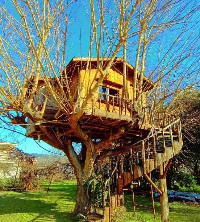 Photo of Others in Trikala
