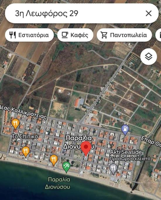 Photo of Others in Paralia Dionysiou