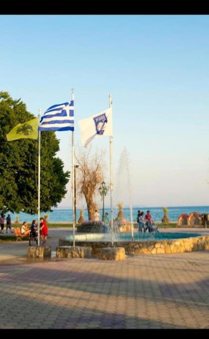 Photo of Others in Paralia Dionysiou