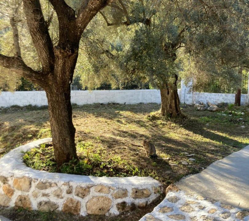 Photo of Others in Mikros Gialos