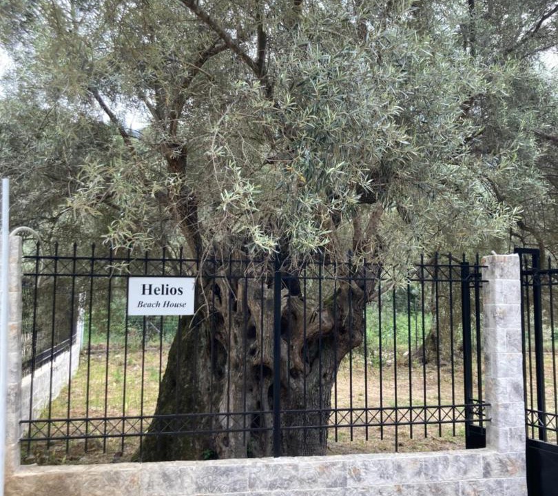 Photo of Others in Mikros Gialos